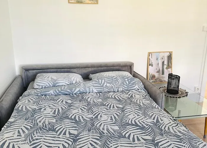 Apartament La Maisonnette D Eline - Meuble 3 Etoiles Vittel